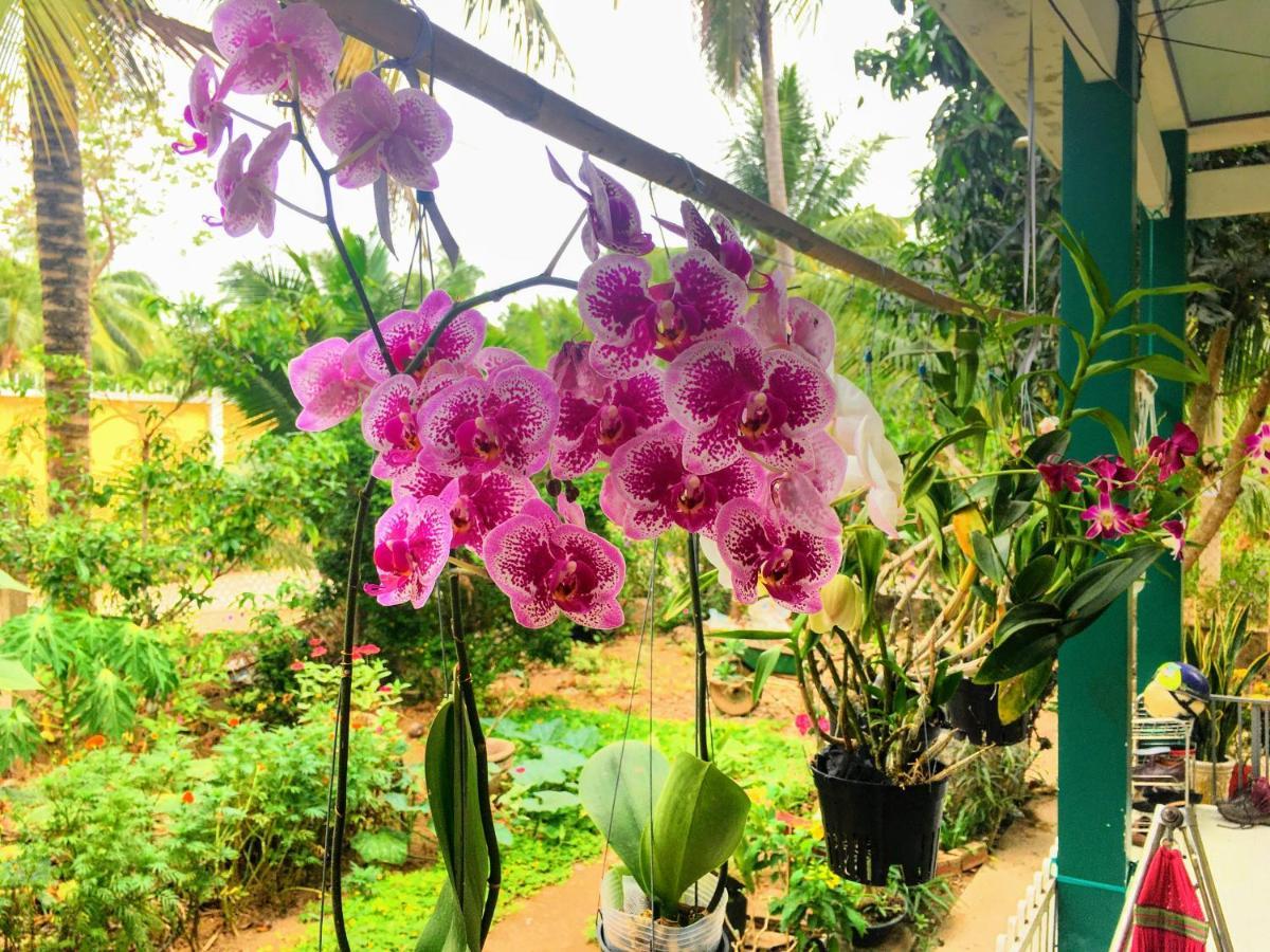 Вилла Coco Happy Farm Ben Tre Экстерьер фото