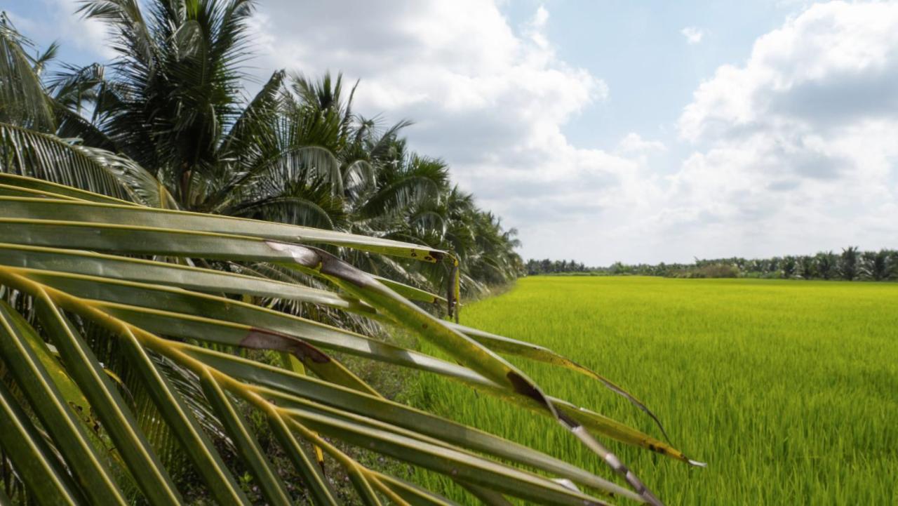 Вилла Coco Happy Farm Ben Tre Экстерьер фото