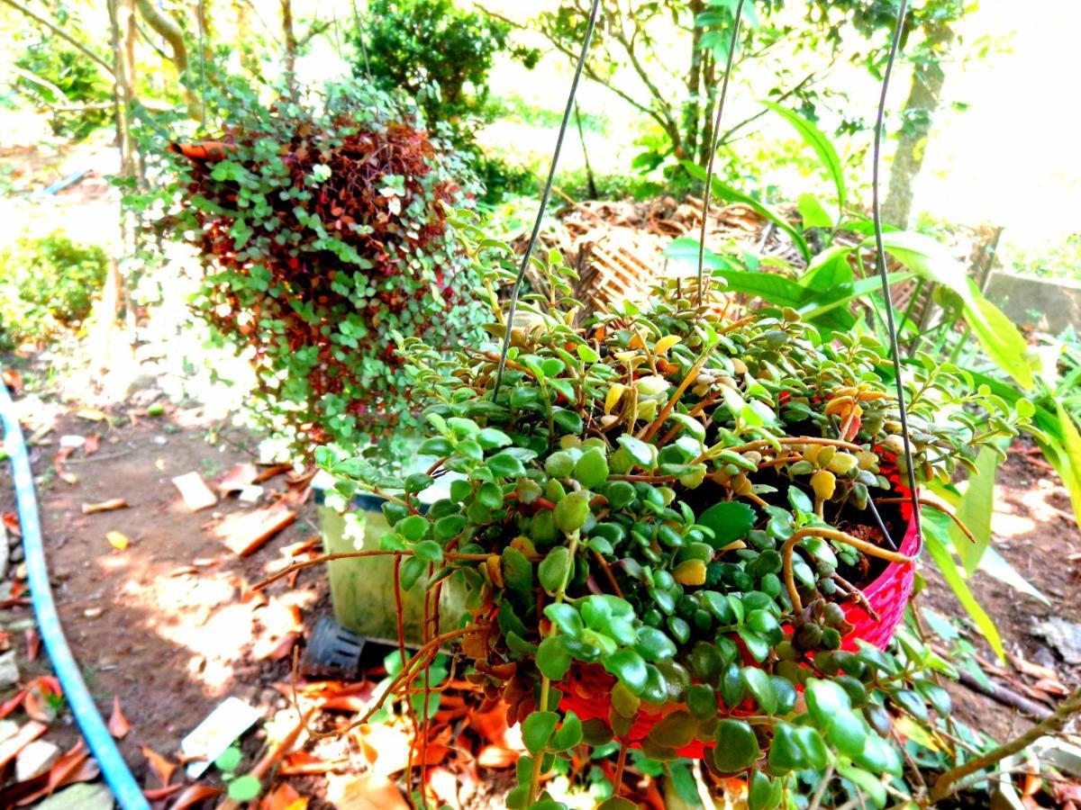 Вилла Coco Happy Farm Ben Tre Экстерьер фото