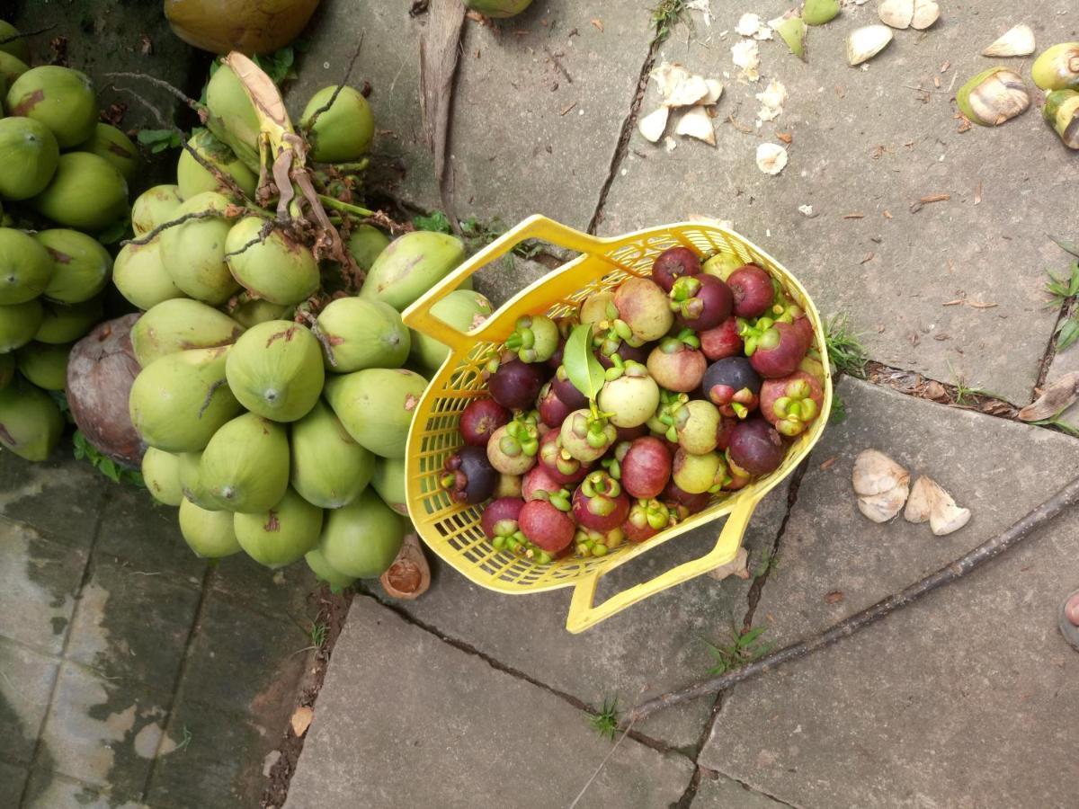 Вилла Coco Happy Farm Ben Tre Экстерьер фото