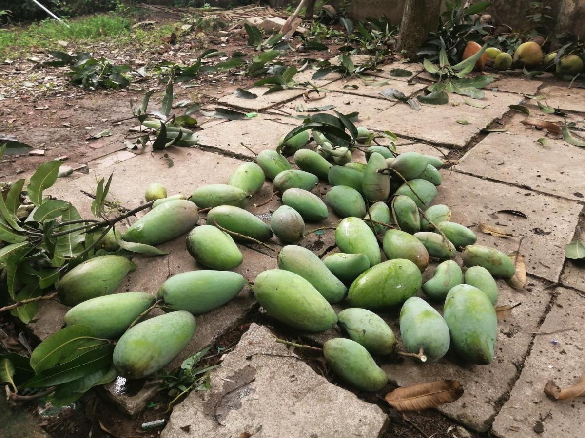 Вилла Coco Happy Farm Ben Tre Экстерьер фото