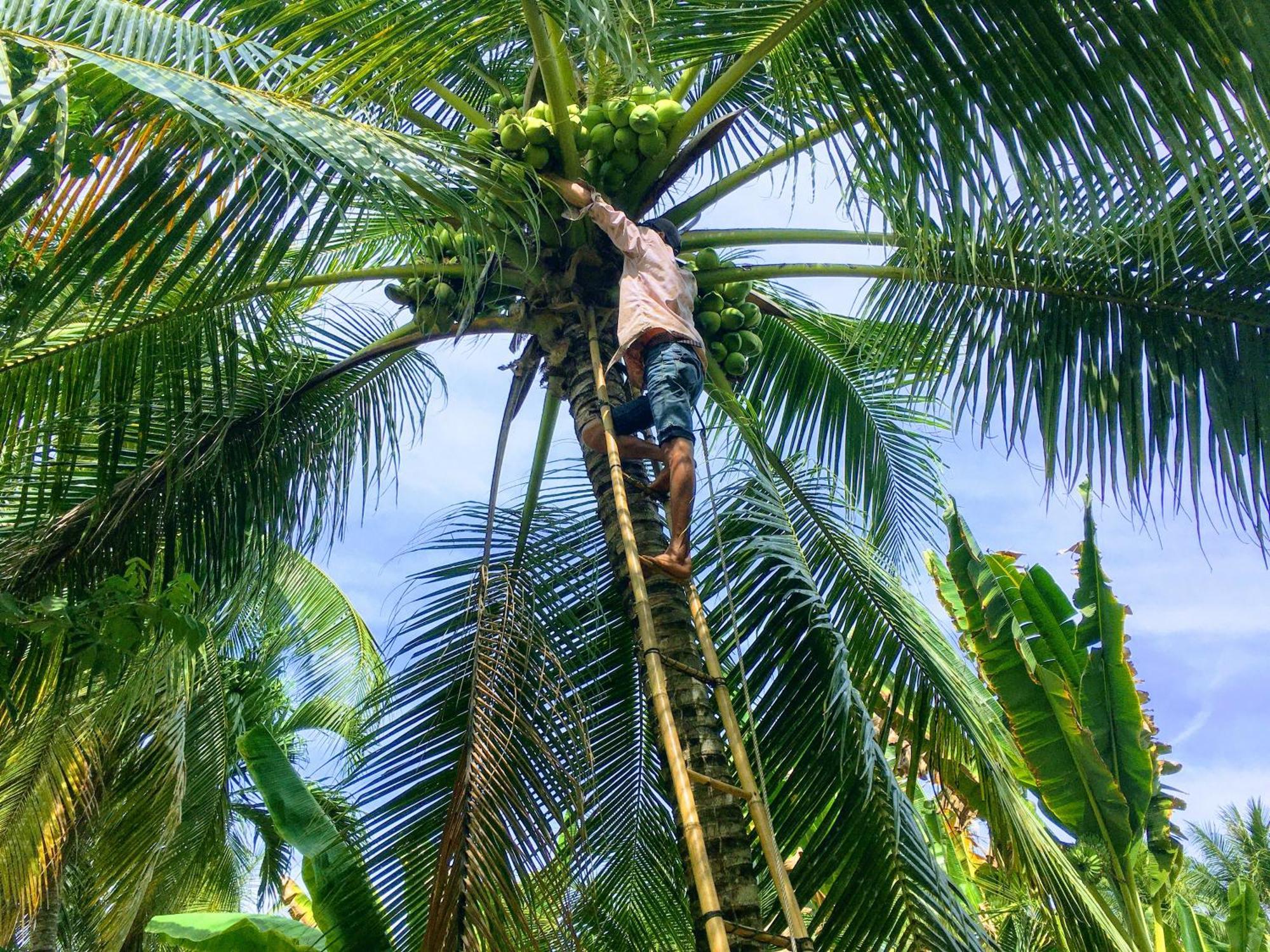 Вилла Coco Happy Farm Ben Tre Экстерьер фото