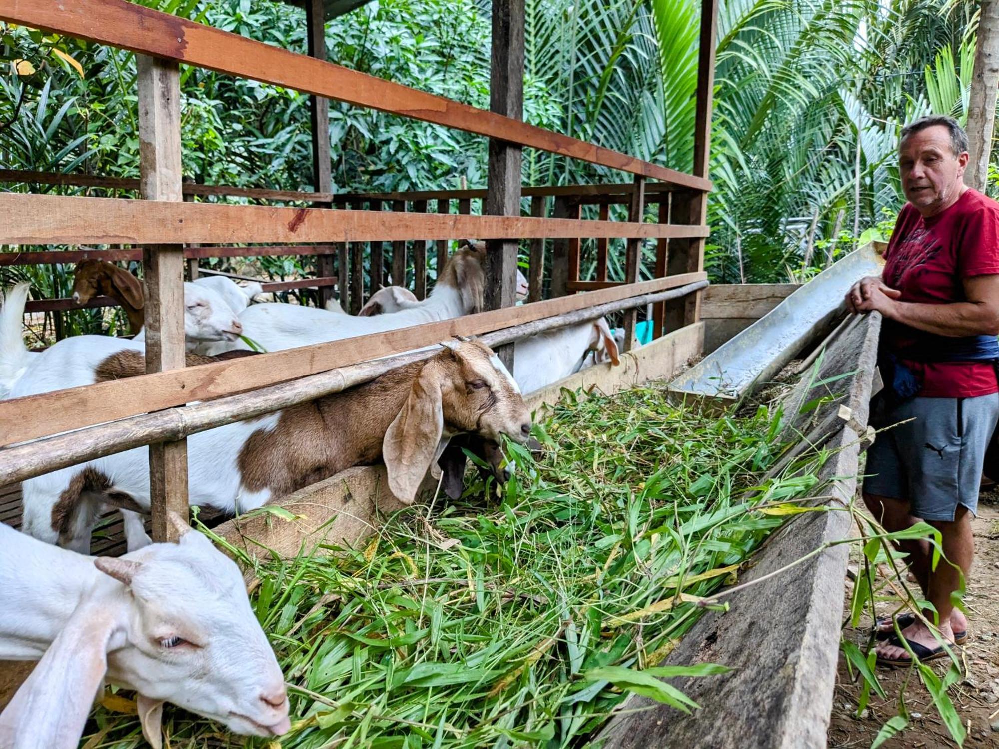 Вилла Coco Happy Farm Ben Tre Экстерьер фото